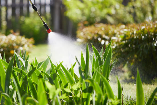 24/7 Emergency Cockroach Control experts in Memphis, MO